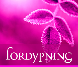 Fordypning - Soulspring Advanced